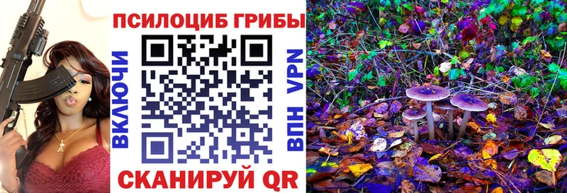 Псилоцибиновые грибы мухоморы  blacksprut онион  Электросталь  как найти закладки 