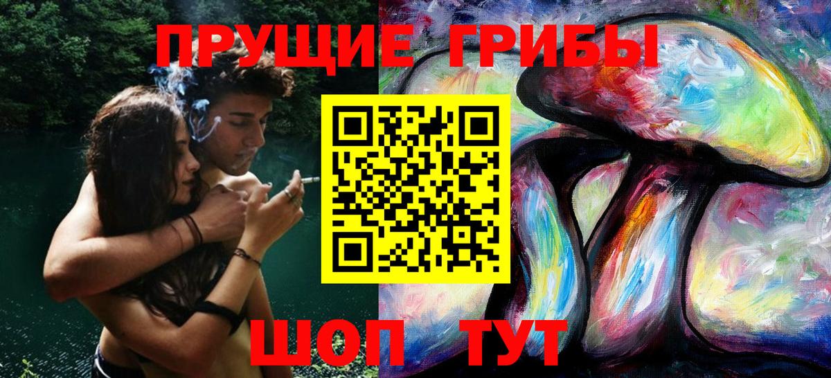 Псилоцибиновые грибы мицелий  Вход с VPN  где продают наркотики  Электросталь 